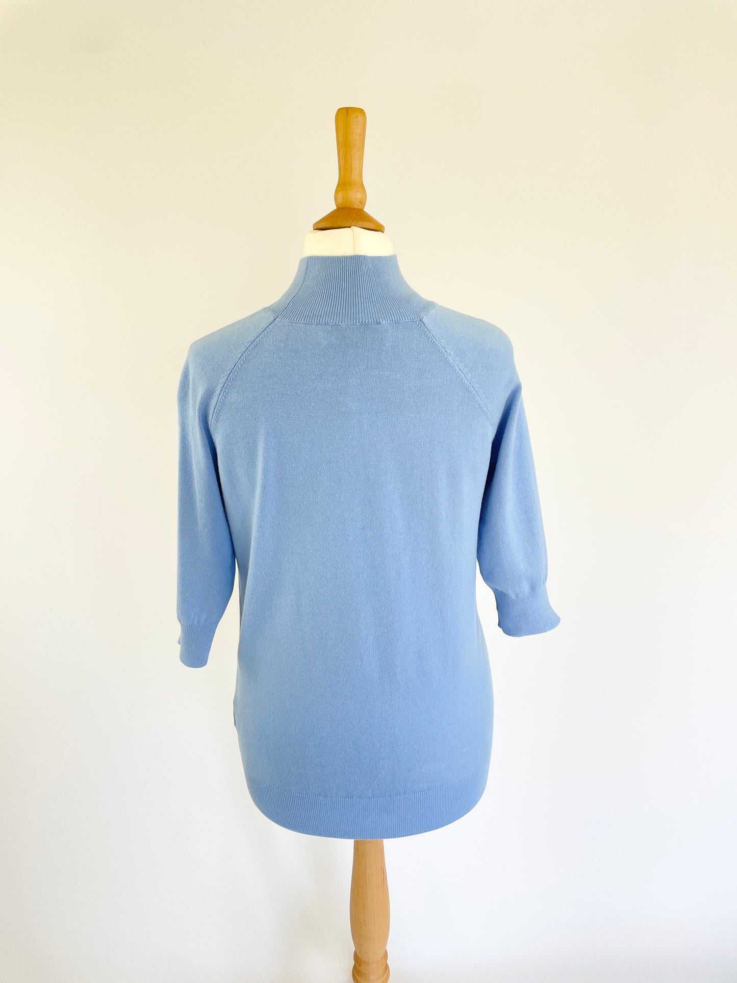 Denise Short Sleeve Turtleneck Jumper - Blue