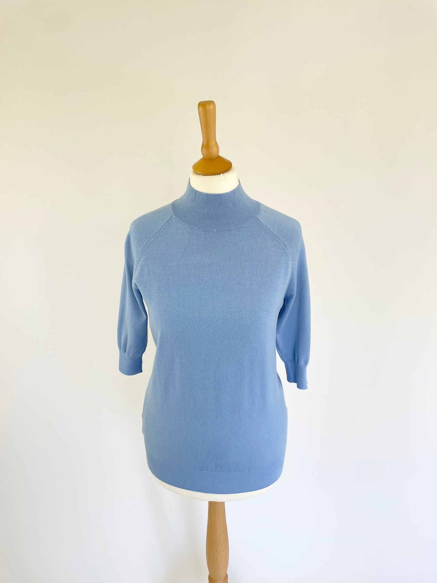 Denise Short Sleeve Turtleneck Jumper - Blue