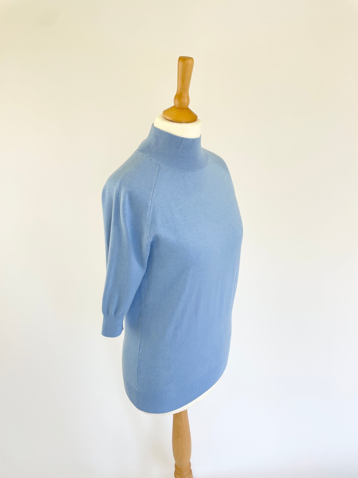 Denise Short Sleeve Turtleneck Jumper - Blue