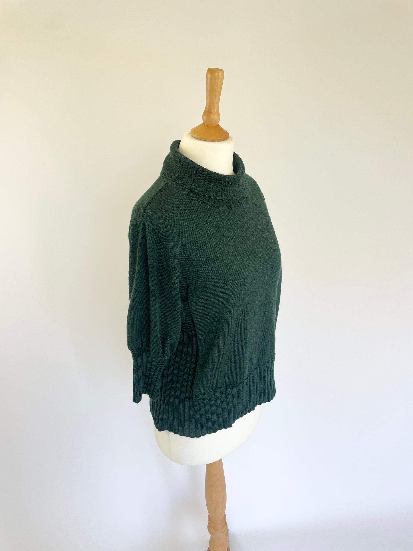 Short Sleeve Turtleneck Jumper