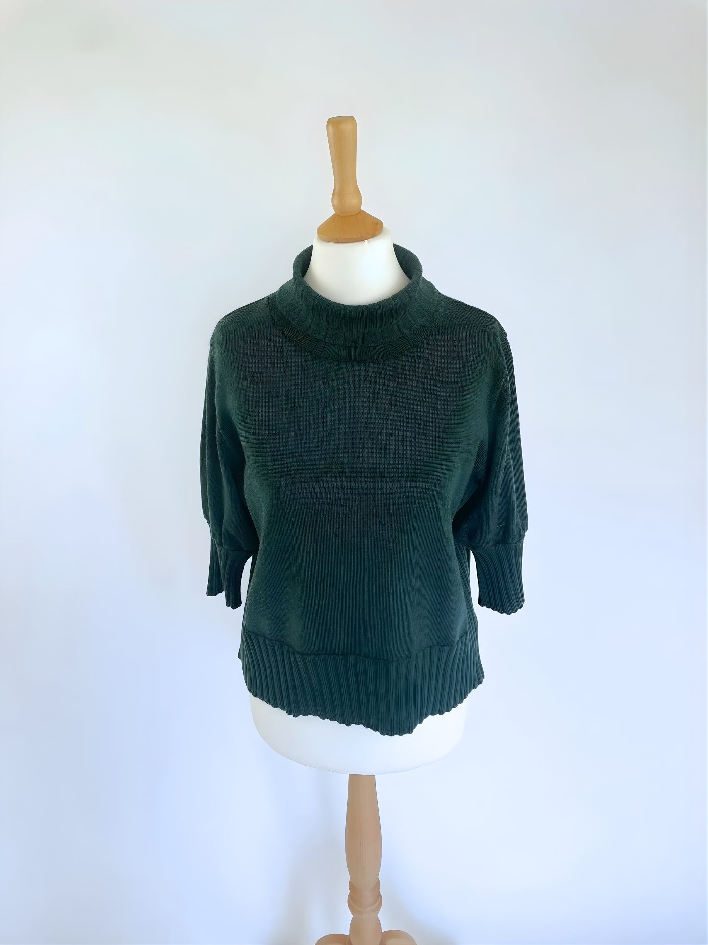 Short Sleeve Turtleneck Jumper